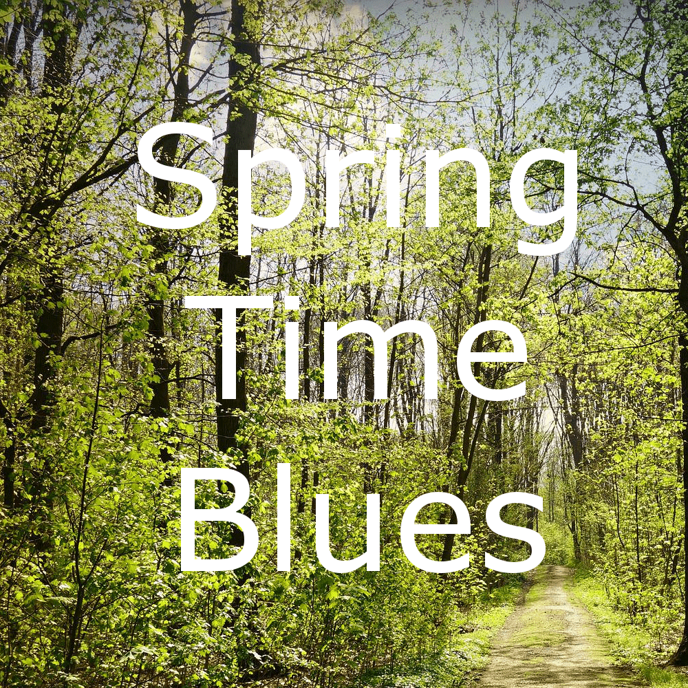 Spring Time Blues- ein Fingerpick für die akustische Gitarre im open tuning