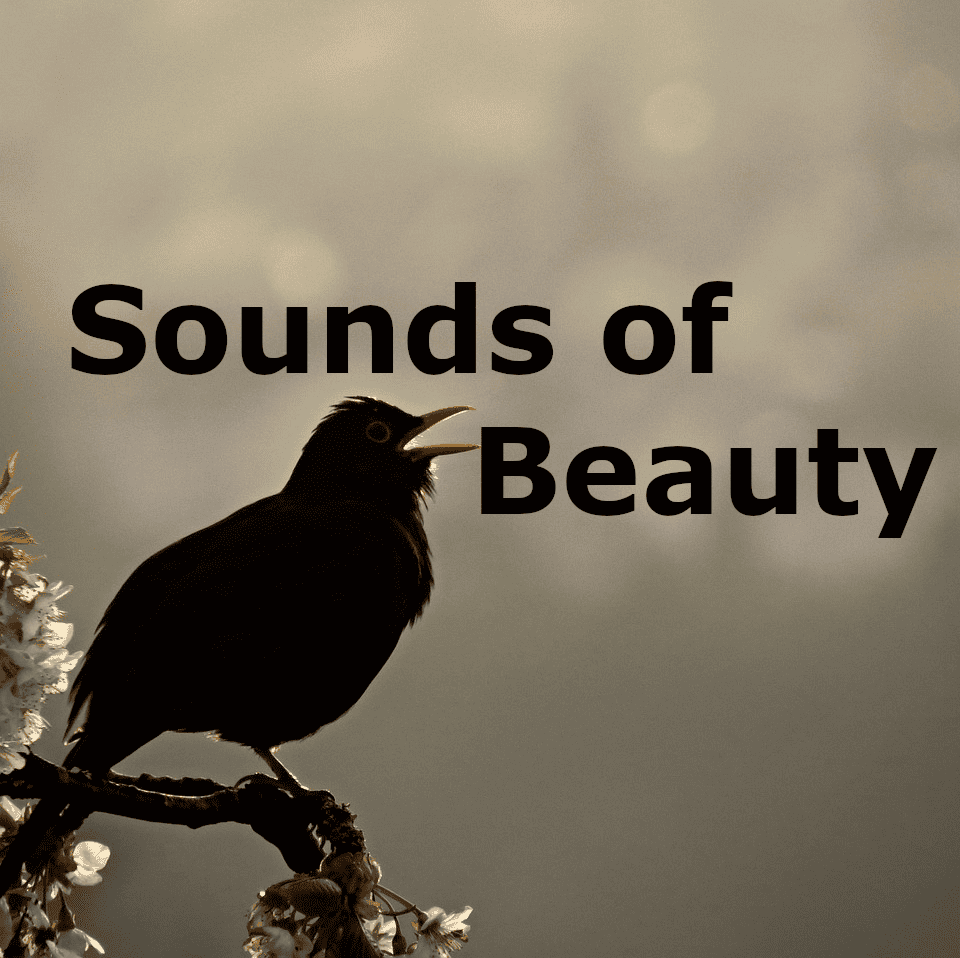 Sounds of Beauty - ein Fingerpick für die akustische Gitarre von Andreas Hövelmann